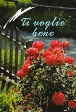 TI VOGLIO BENE