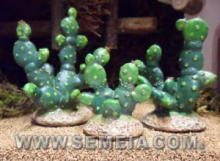 Cactus per presepe cm 12 (1262)