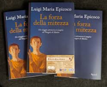 FORZA DELLA MITEZZA UN VIAGGIO ATTRAVERSO LE PAGINE DEL VANGELO DI MATTEO